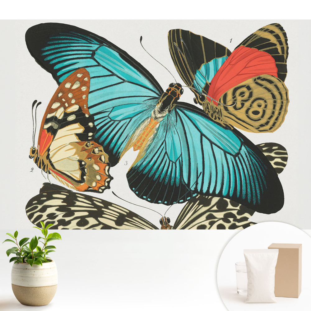 Tapeta fotograficzna flizelinowa Kolorowe motyle w klasycznym stylu