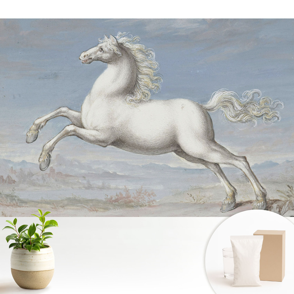 Tapeta fotograficzna flizelinowa Biały koń w dynamicznym skoku