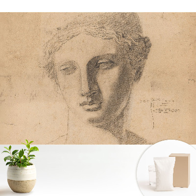 Fototapeta flizelinowa do salonu Grafika klasyczna kobieca twarz