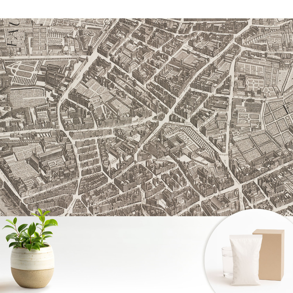 Fototapeta z nadrukiem na flizelinie Klasyczna mapa miasta