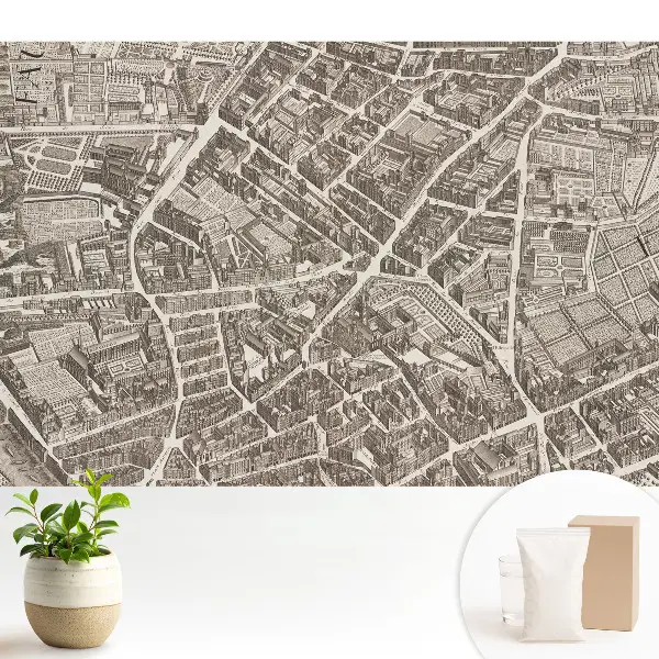 Fototapeta z nadrukiem na flizelinie Klasyczna mapa miasta