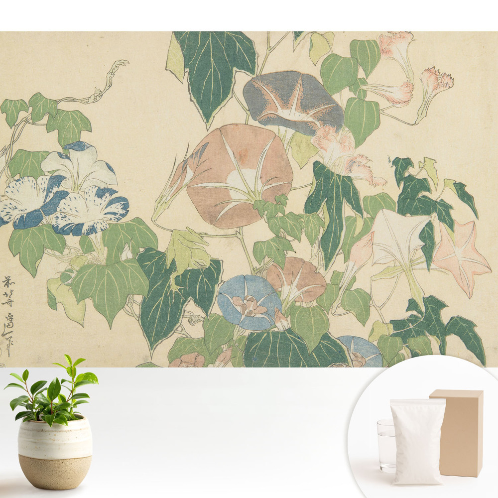 Tapeta fotograficzna flizelinowa Kwitnące pnącza harmonia natury