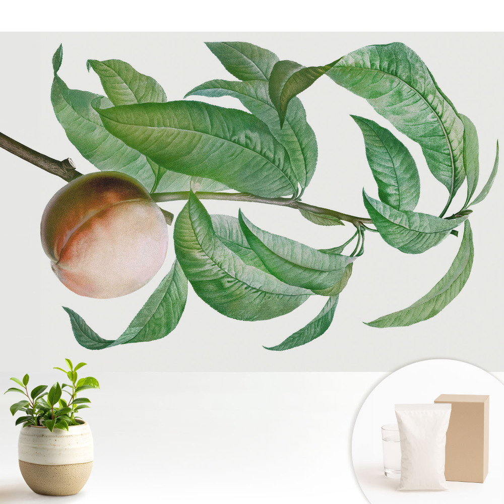 Fototapeta na wymiar do sypialni Brzoskwinia i liście w klasycznym stylu