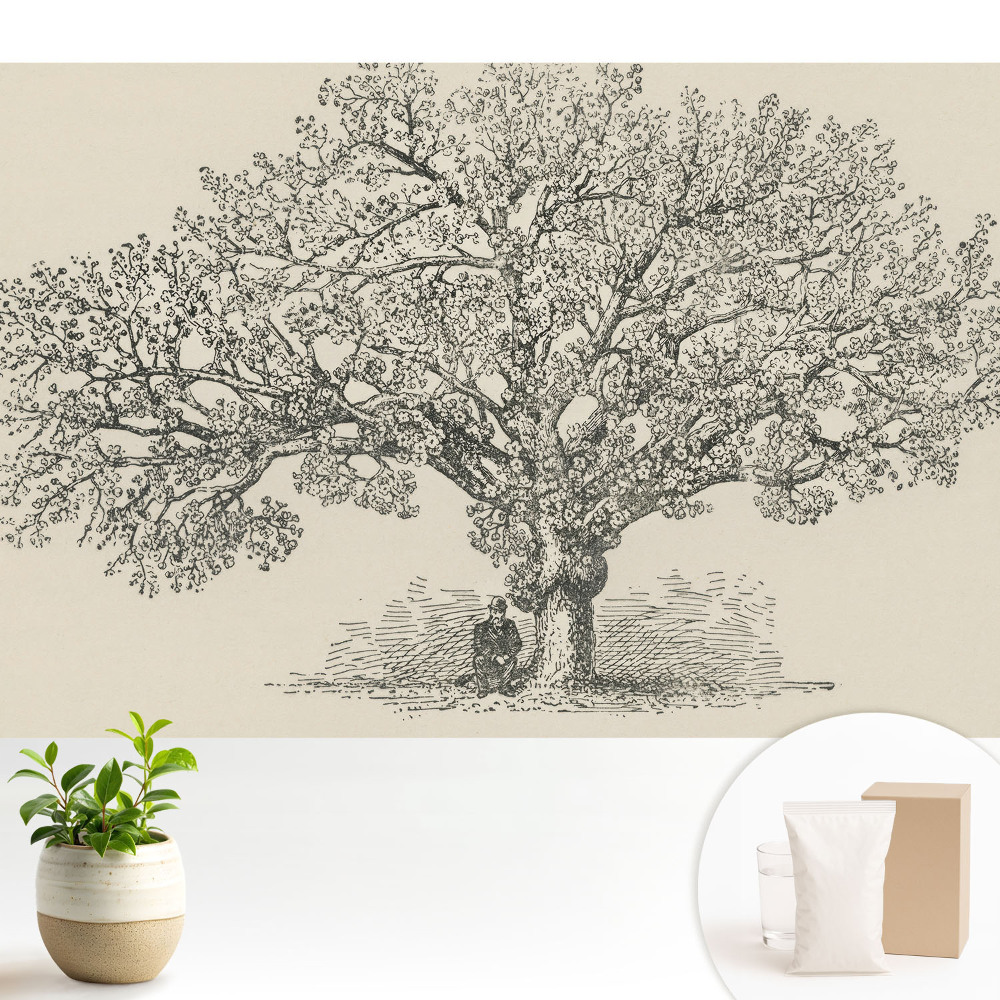 Fototapeta do salonu Stylizowane drzewo natura klasyka harmonia