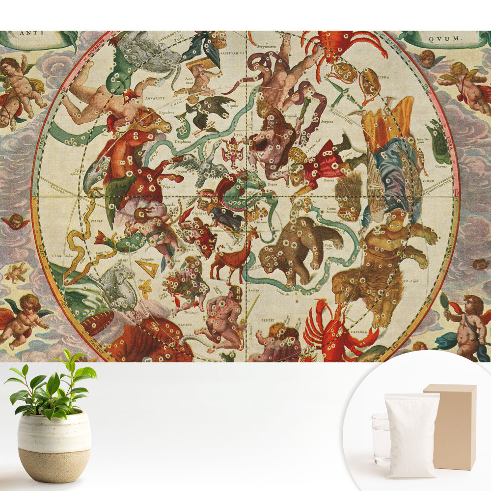 Fototapeta do salonu Kosmogram klasyczny z mitologicznymi postaciami