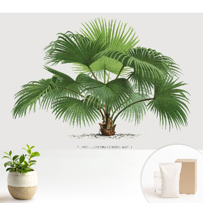 Nowoczesna fototapeta na wymiar Palma elegancja klasyczna