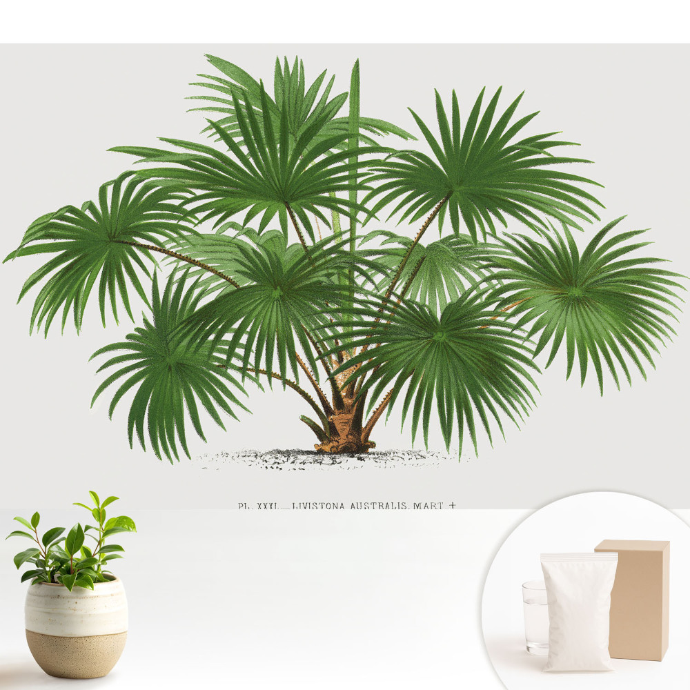 Fototapeta na wymiar do sypialni Zielona palma symetryczna kompozycja