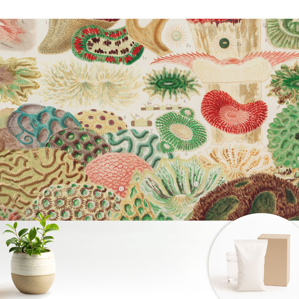 Nowoczesna fototapeta na wymiar Abstrakcyjne motywy organiczne i struktury