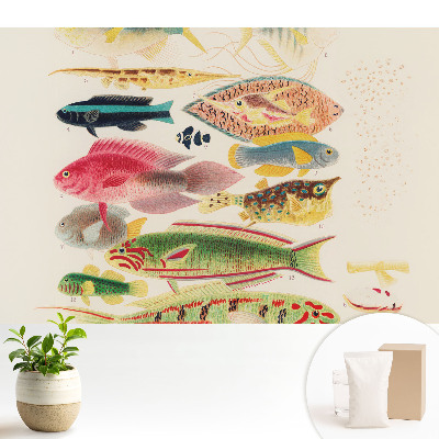 Fototapeta na wymiar do sypialni Różnorodne ryby w klasycznym stylu