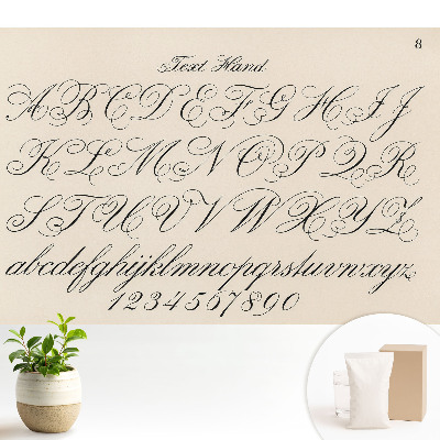 Tapeta fotograficzna flizelinowa Kaligraficzny alfabet z wyszukanymi zawijasami