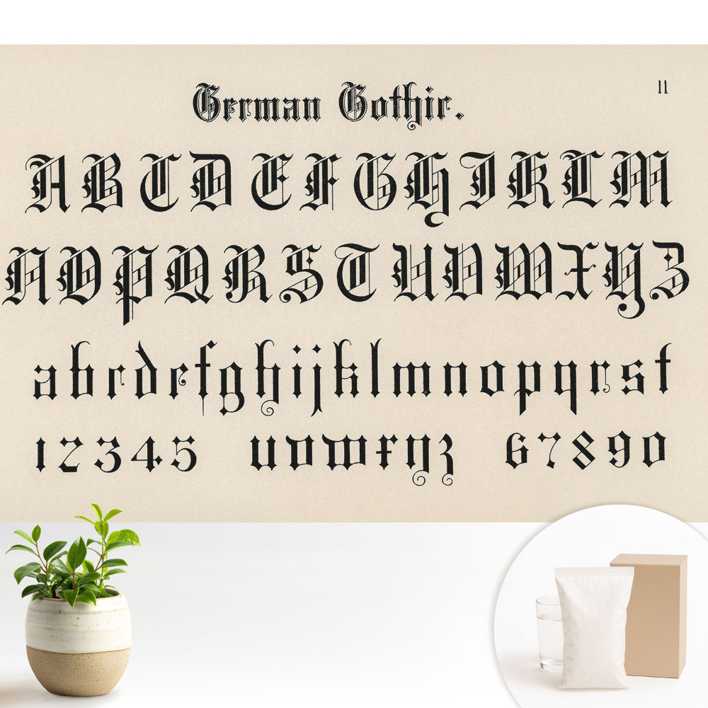 Fototapeta do salonu Gotycki alfabet elegancki i dekoracyjny