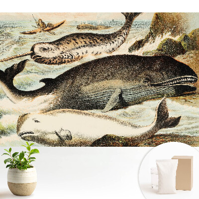 Tapeta fotograficzna flizelinowa Ilustracja klasycznych waleni z narwalem