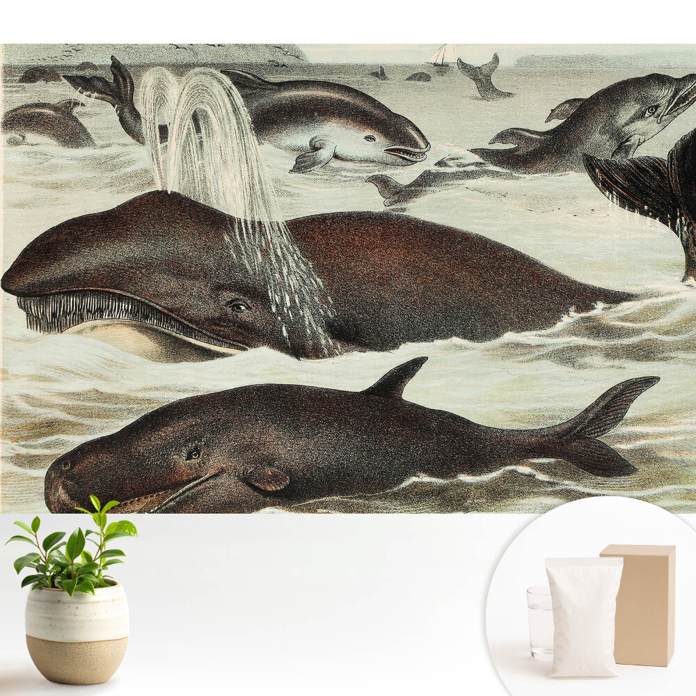 Fototapeta Wodna harmonia zwierząt