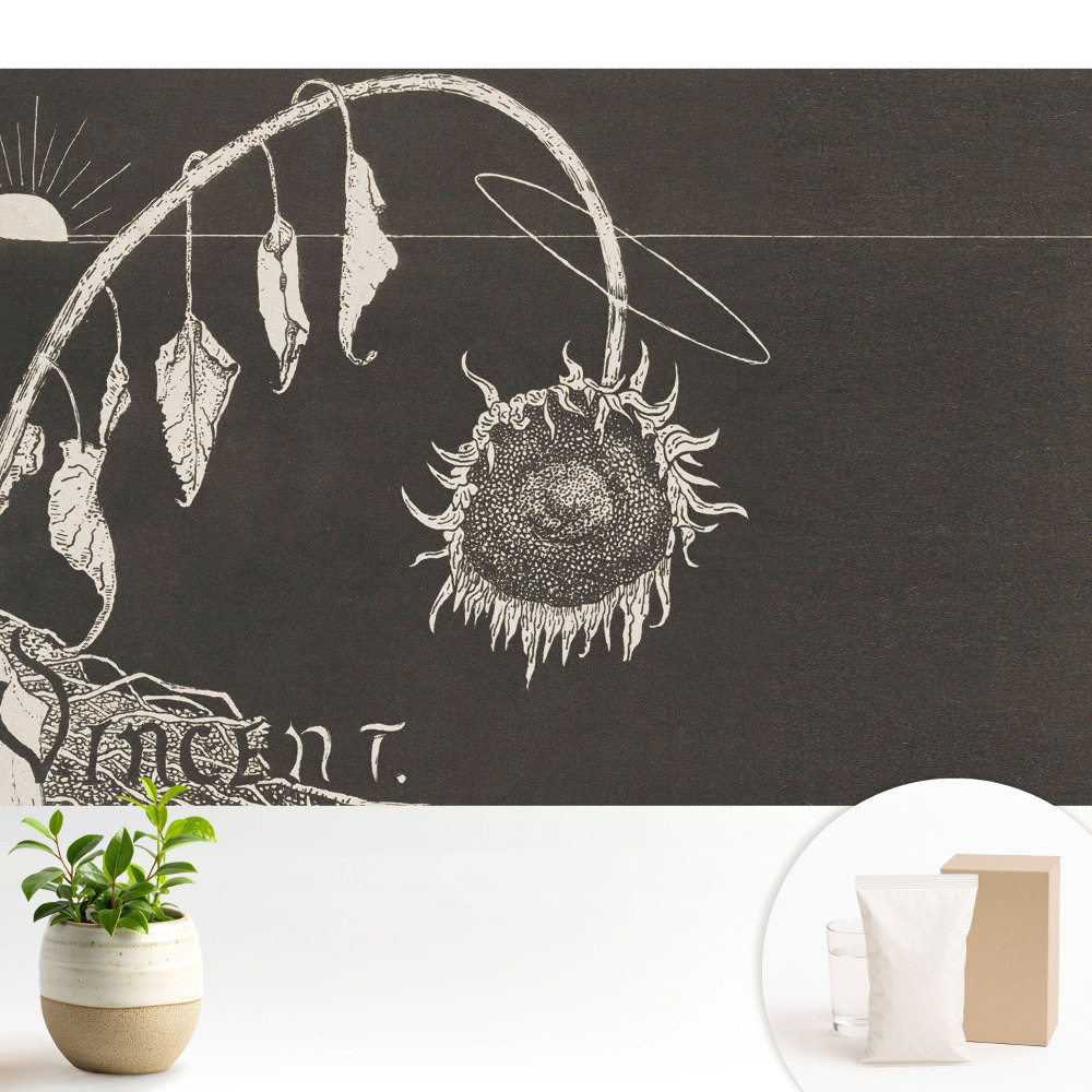 Fototapeta na wymiar do sypialni Zwiędły słonecznik nostalgiczny vintage