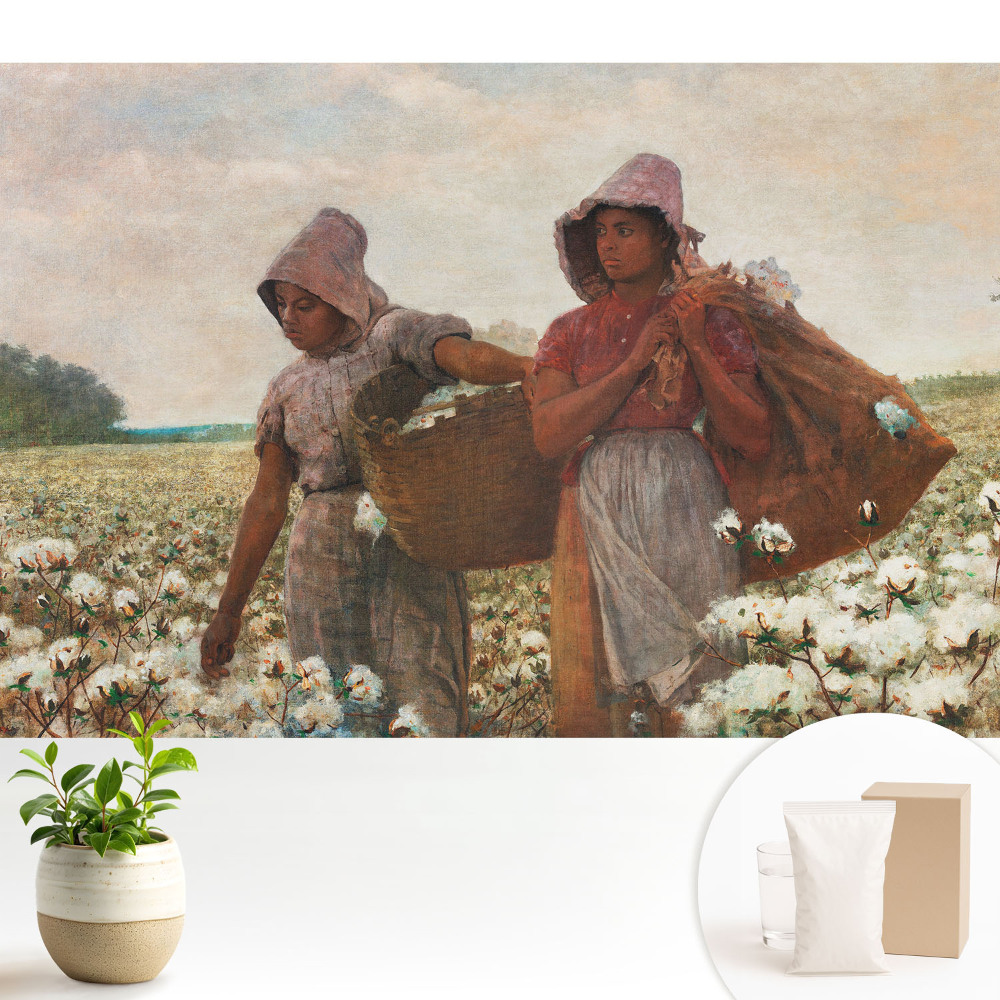 Fototapeta flizelinowa do salonu Rustykalne pole bawełny