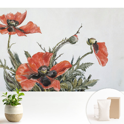 Fototapeta do salonu Delikatne maki na jasnym tle