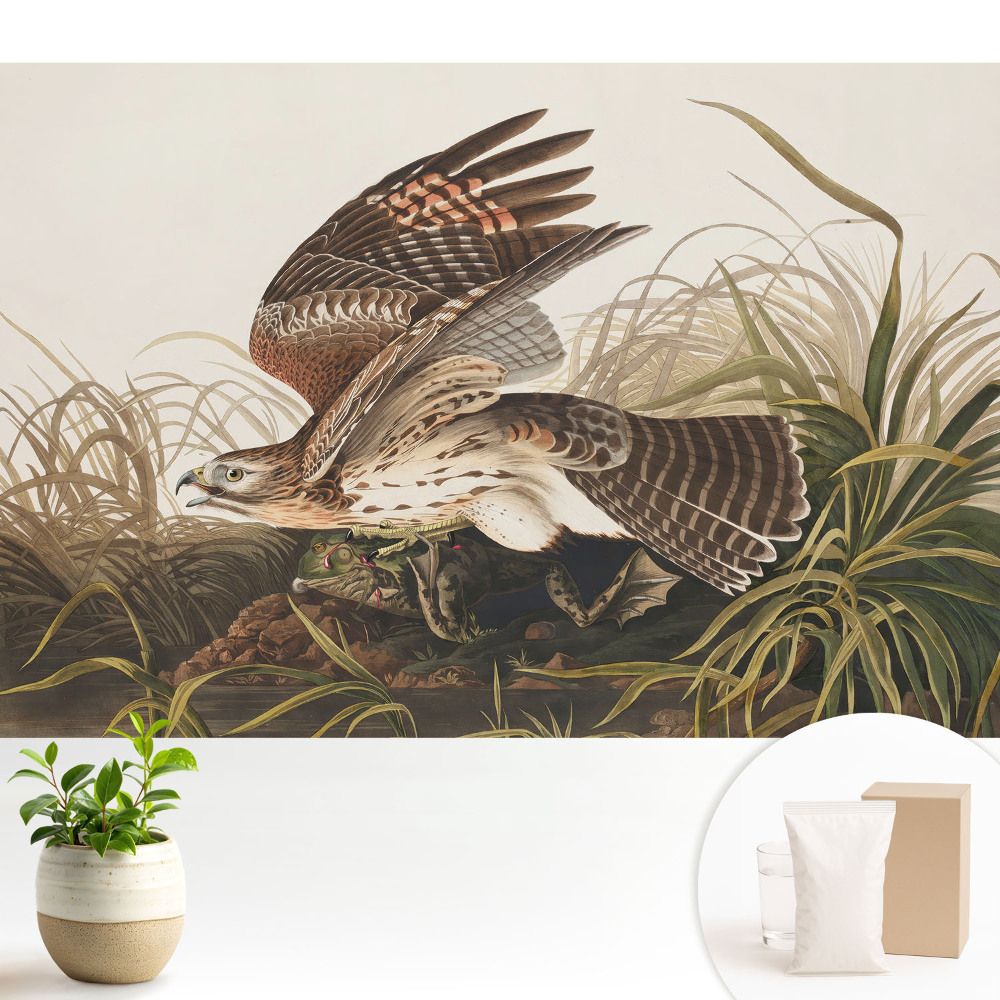 Tapeta fotograficzna flizelinowa Ptak w locie pośród traw