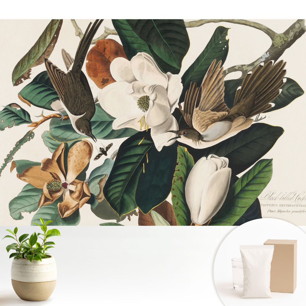 Tapeta fotograficzna flizelinowa Magnolie i ptaki w klasycznej harmonii