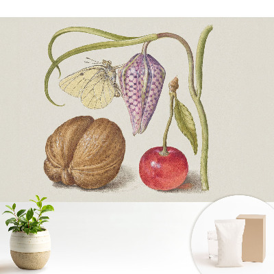 Fototapeta flizelinowa do salonu Motyl na kwiatku liść i owoce