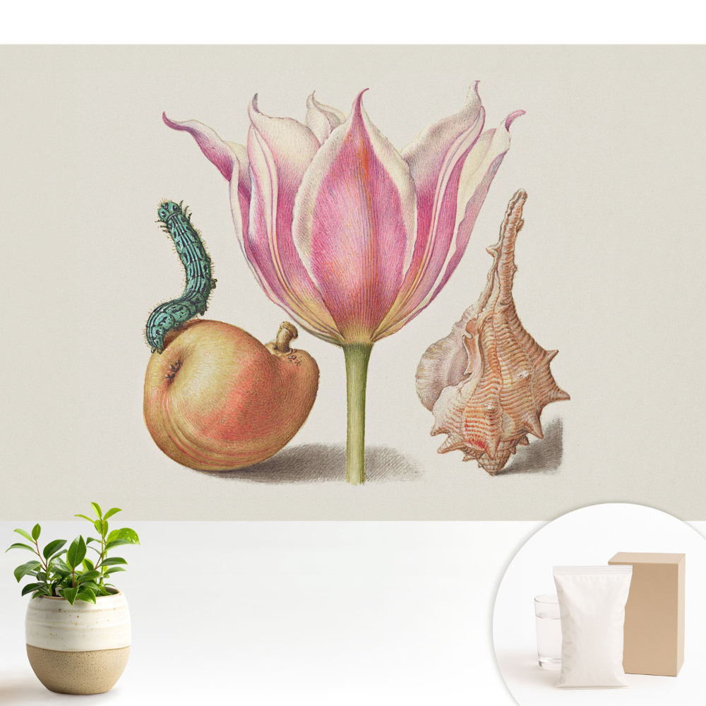 Tapeta fotograficzna flizelinowa Kwiat gąsienica muszla harmonia.