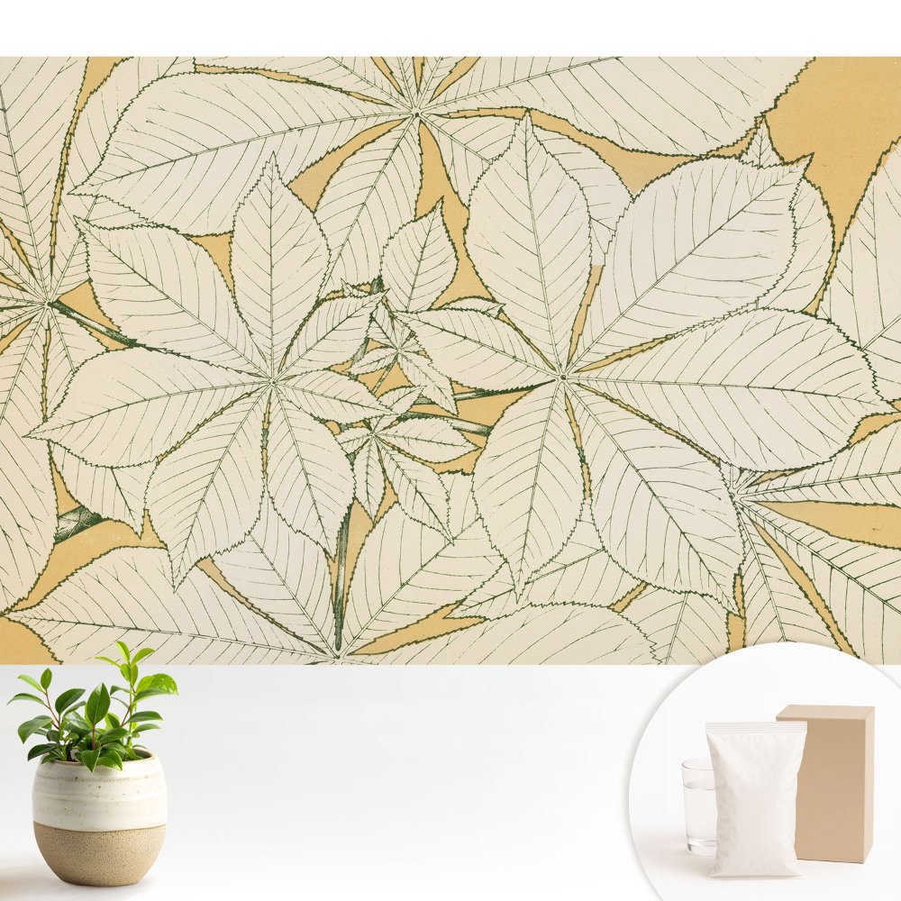 Fototapeta do salonu Styl minimalizm harmonia liście przytulność