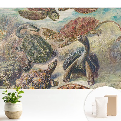 Fototapeta do salonu Różnorodne żółwie w wodnej scenerii