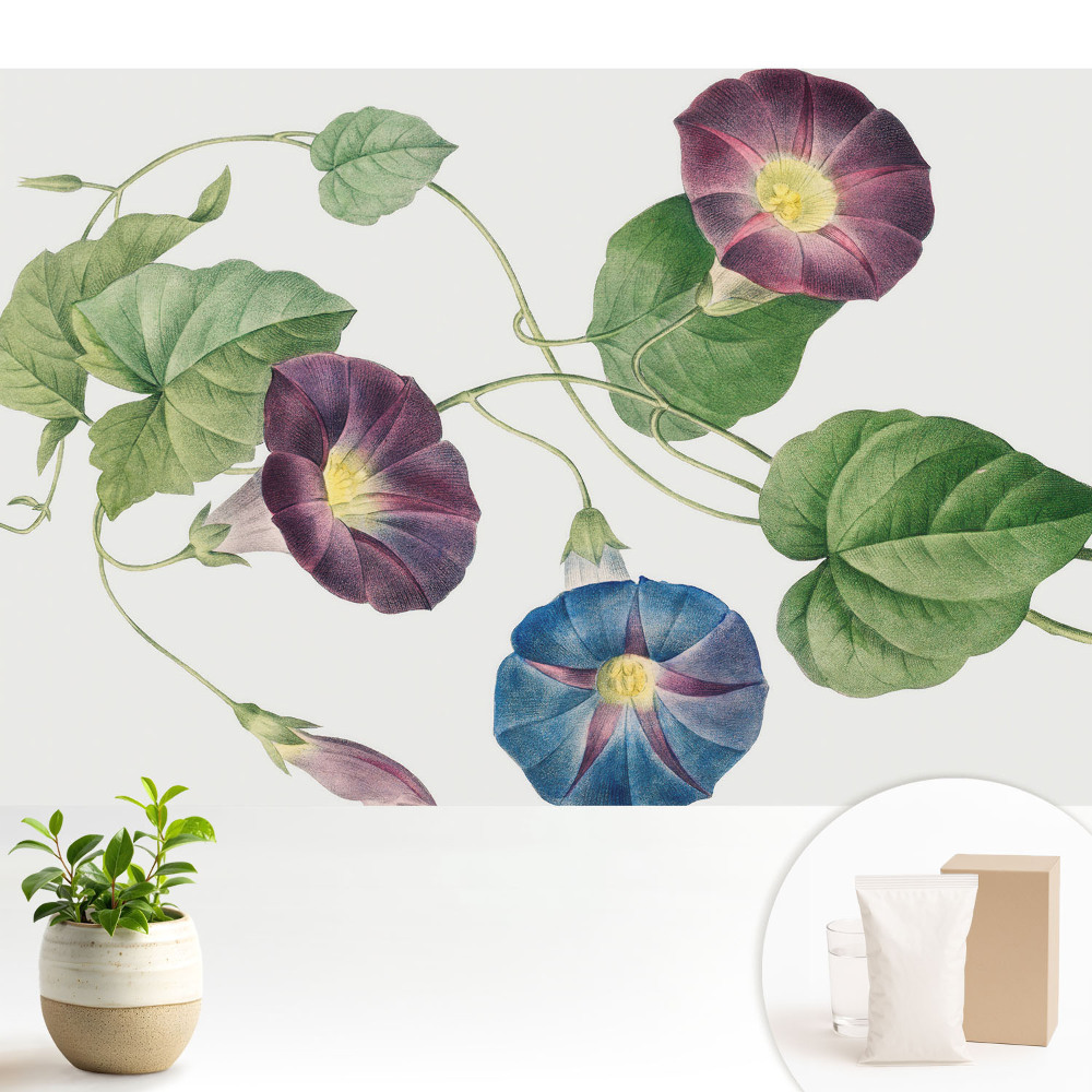 Fototapeta Delikatne kwiatowe motywy botaniczne