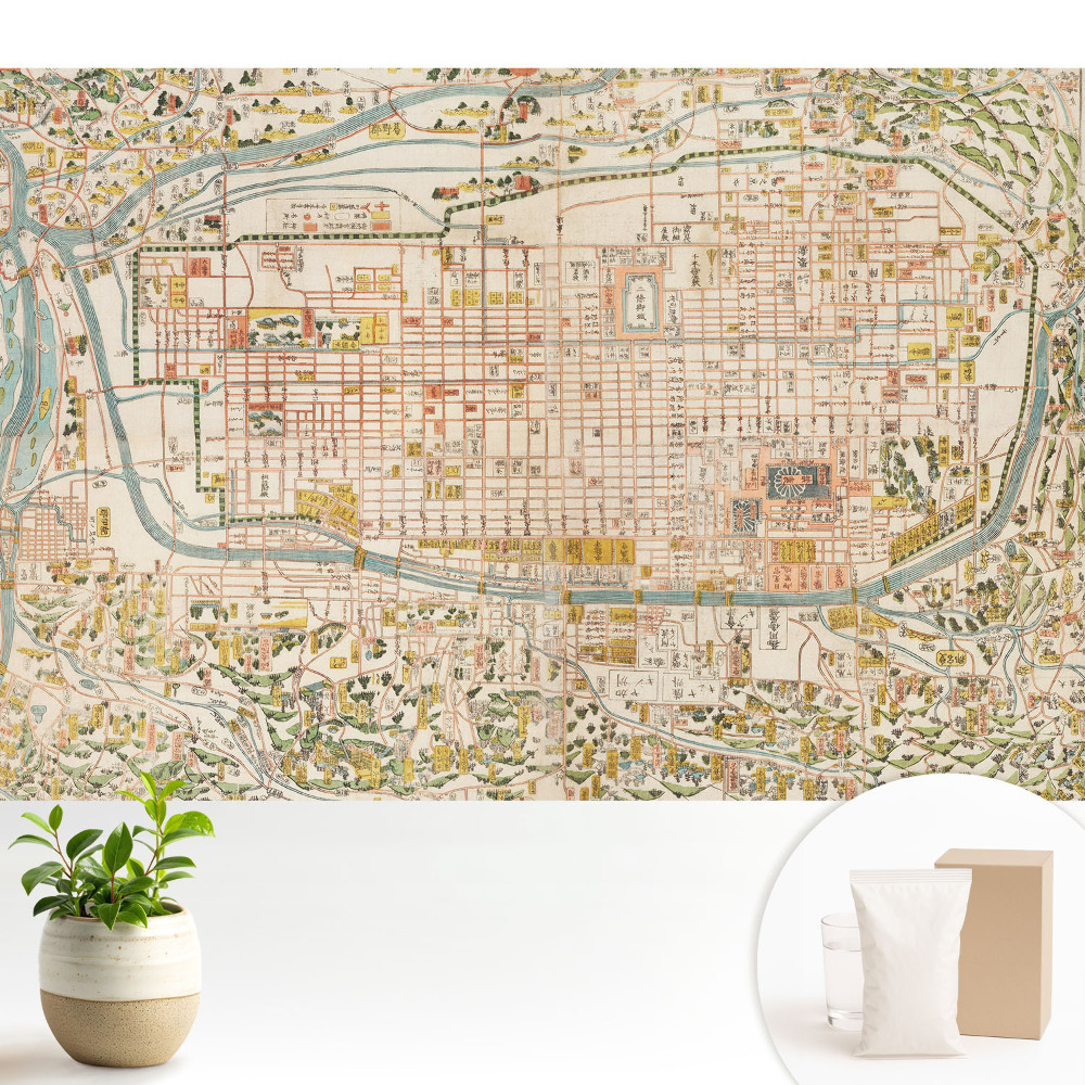 Nowoczesna fototapeta na wymiar Historyczna mapa miasta z detalami ulic