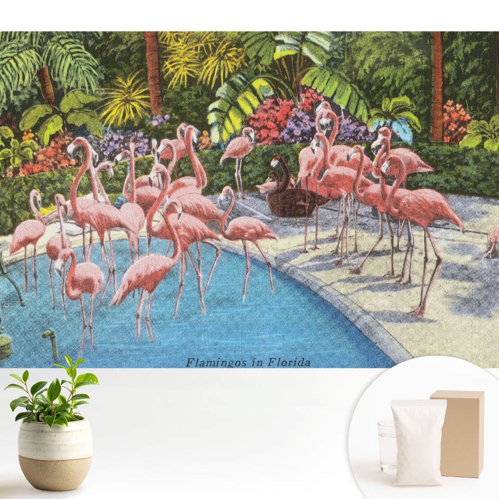 Fototapeta z nadrukiem na flizelinie Flamingi przy basenie