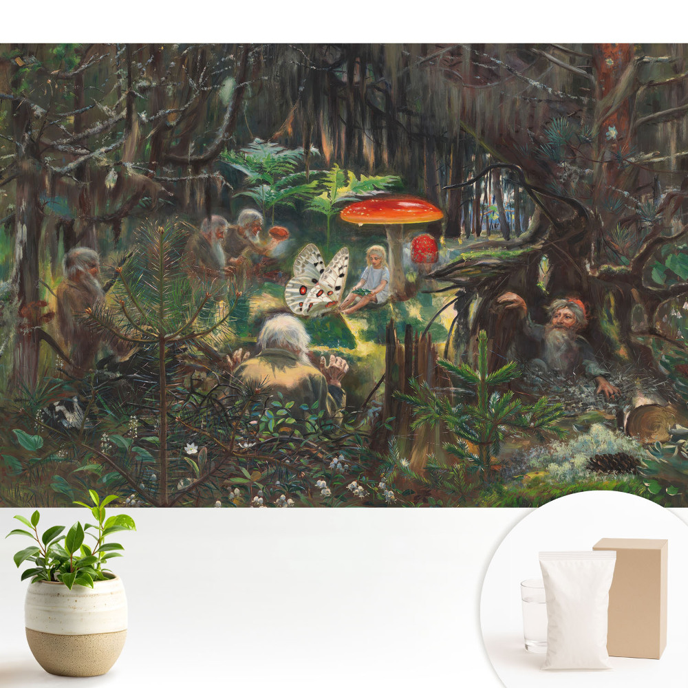 Fototapeta do salonu Leśna sceneria w magicznym stylu