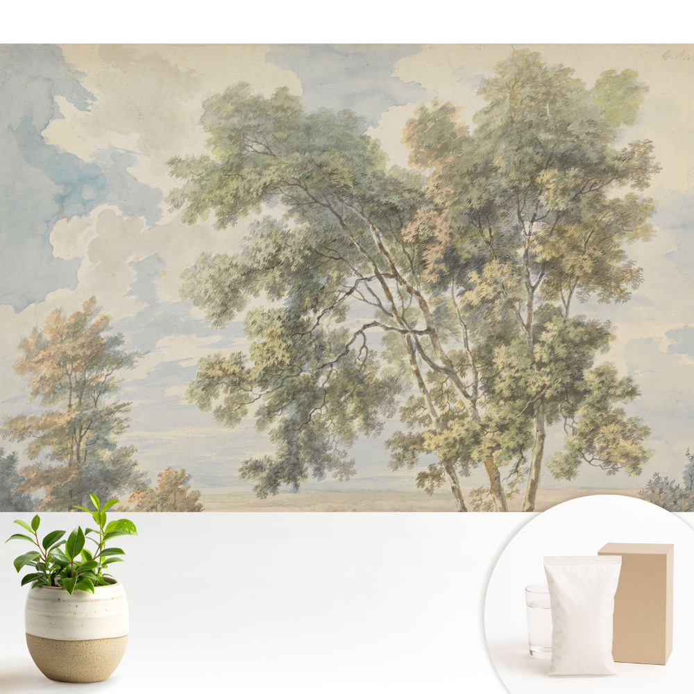 Tapeta fotograficzna flizelinowa Kojący krajobraz drzew i nieba