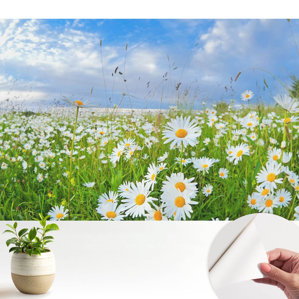 Fototapeta do salonu Kwiecista łąka latem