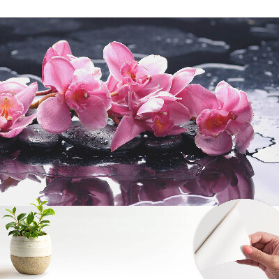 Fototapeta do salonu Różowe orchidee na kamieniach