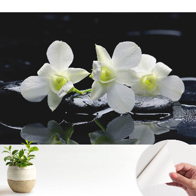 Nowoczesna fototapeta na wymiar Białe orchidee na kamieniach.