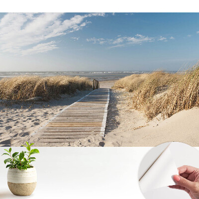 Tapeta fotograficzna samoprzylepna Nadmorska ścieżka wśród wydm