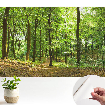 Fototapeta na wymiar do sypialni Świeży zielony las