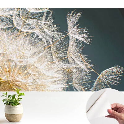 Fototapeta samoprzylepna do salonu Eteryczne nasiona delikatnego dmuchawca