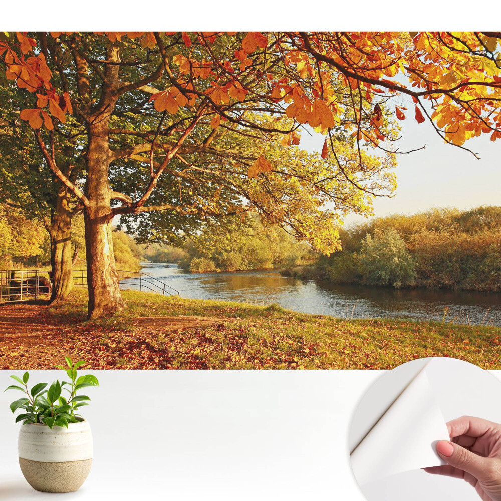 Fototapeta do salonu Jesienny krajobraz rzeki spokojne kolory