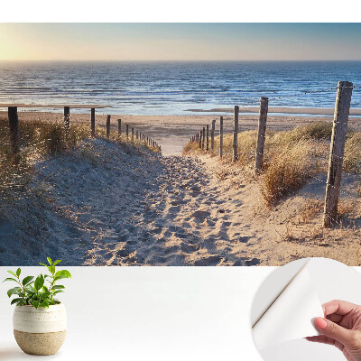 Nowoczesna fototapeta na wymiar Ścieżka przez wydmy do morza