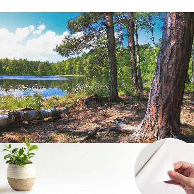 Fototapeta z nadrukiem samoprzylepna Leśny pejzaż nad jeziorem naturalny spokój