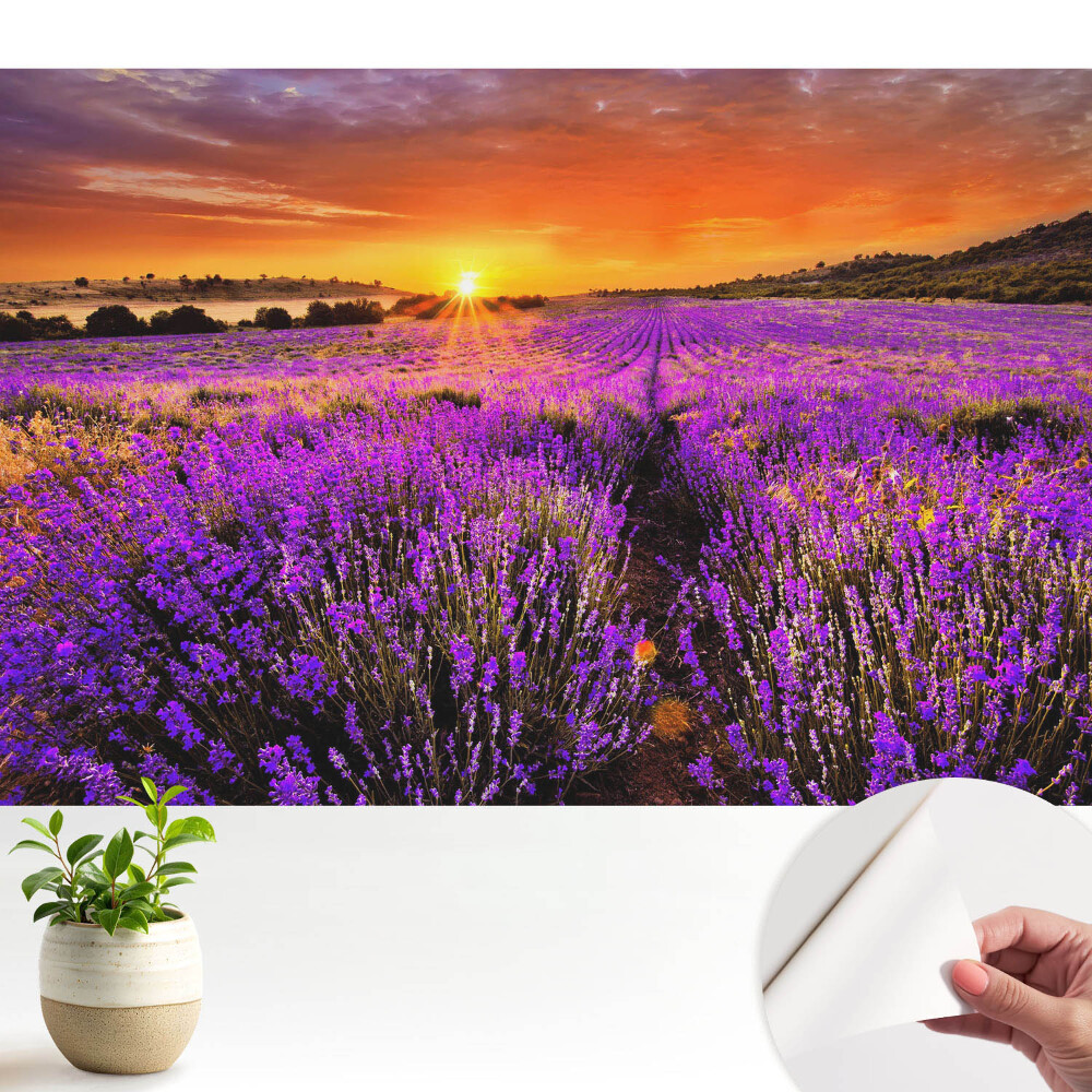Nowoczesna fototapeta na wymiar Pola lawendy zachód słońca