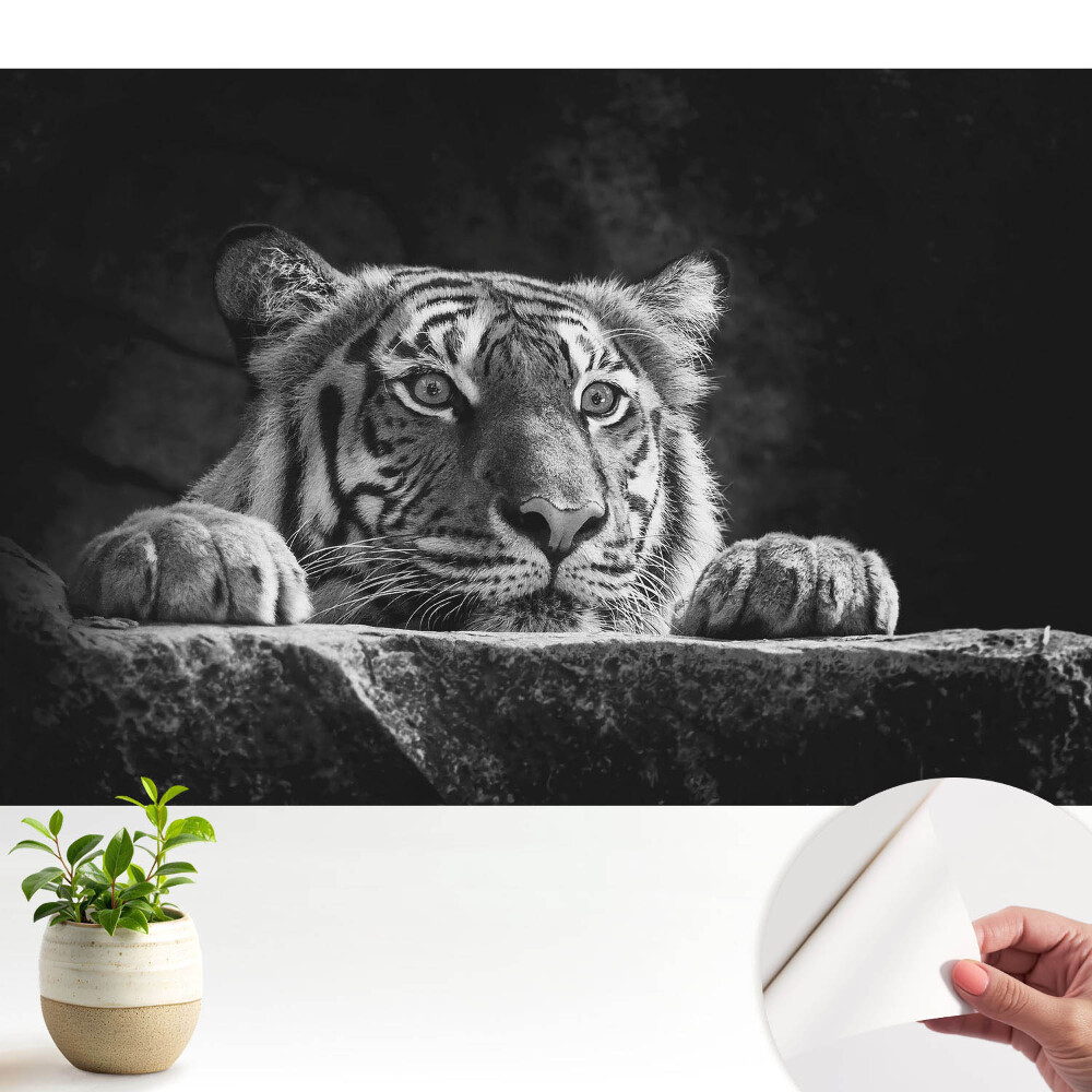 Fototapeta z nadrukiem samoprzylepna Tygrys w czerni i bieli