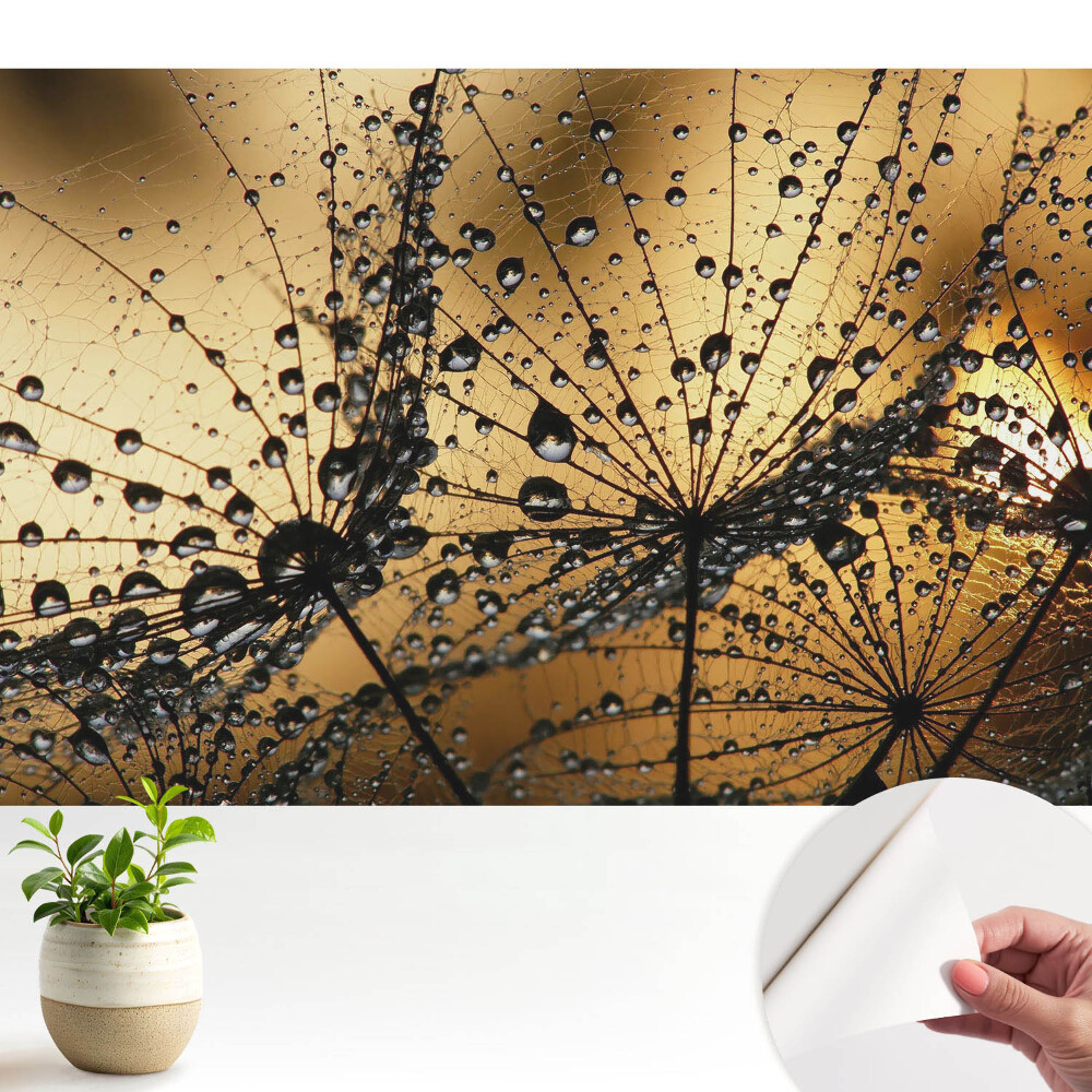 Fototapeta z nadrukiem samoprzylepna Eleganckie krople na sieci w świetle