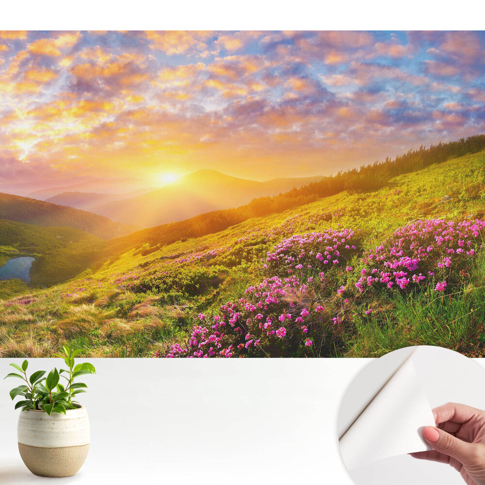Fototapeta na wymiar do sypialni Zachód słońca góry kwiaty