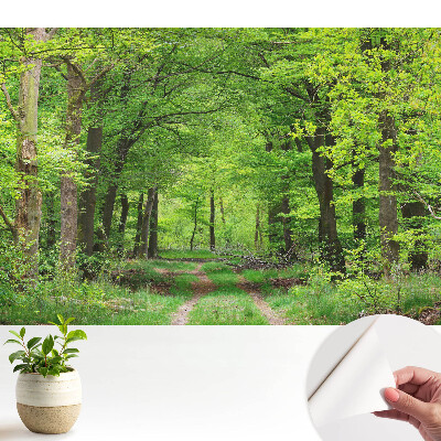 Fototapeta z nadrukiem samoprzylepna Zielona leśna harmonijna sceneria