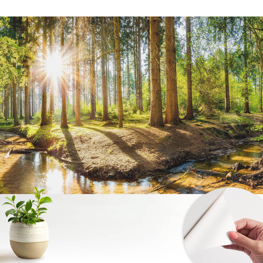 Fototapeta do salonu Promienne słońce w leśnym krajobrazie