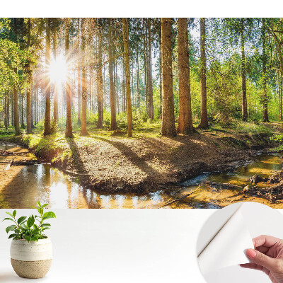 Fototapeta do salonu Promienne słońce w leśnym krajobrazie