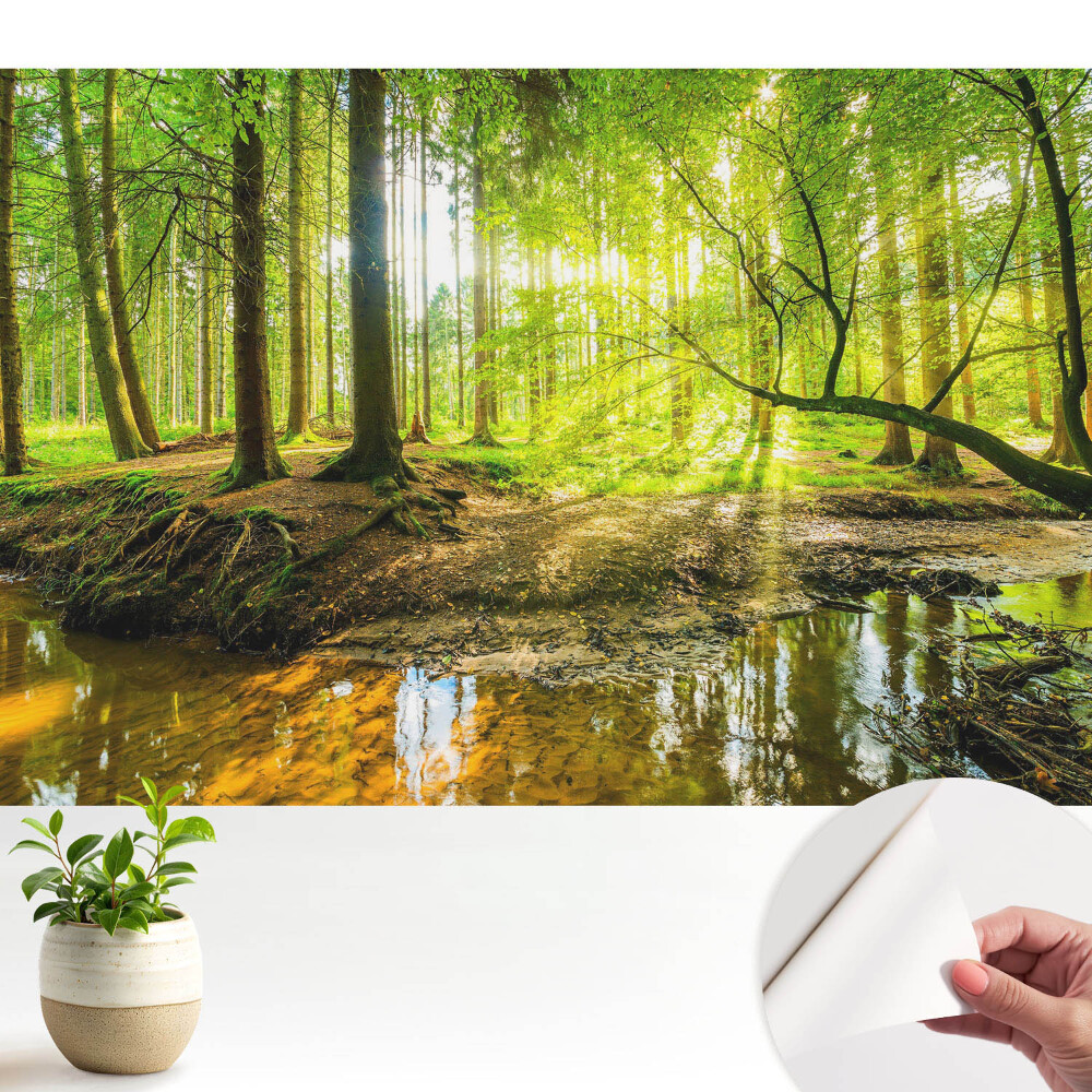 Fototapeta Leśny spokój światło strumyk
