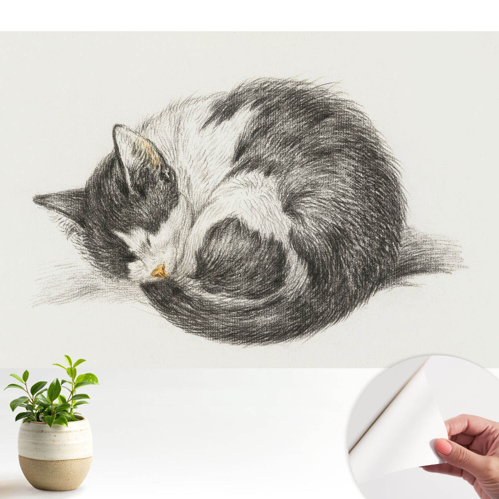 Nowoczesna fototapeta na wymiar Śpiący kotek ilustracja centralna