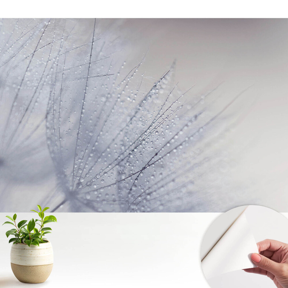 Fototapeta Makro kropel na włóknach dmuchawca